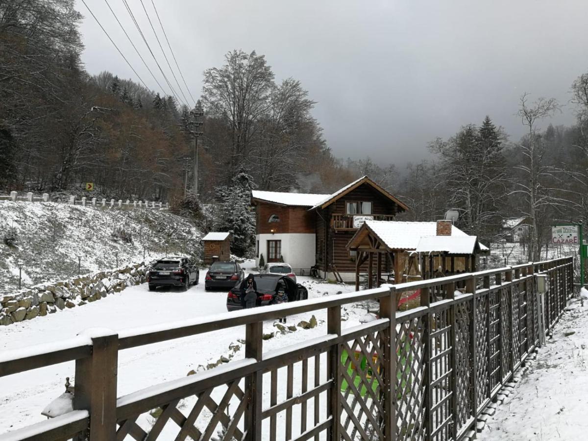 Cabana Rustic Balea Cîrţişoara Kültér fotó