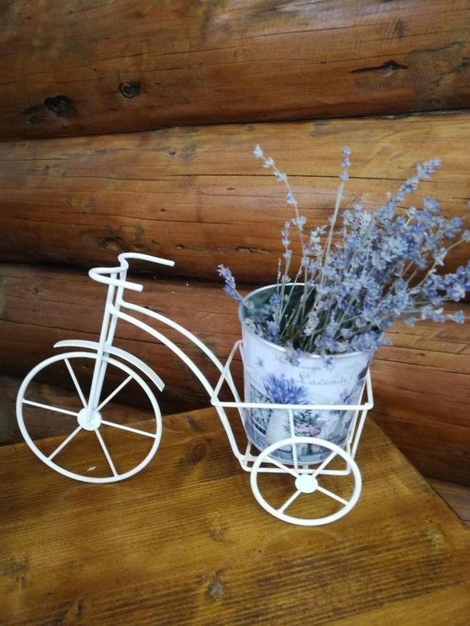 Cabana Rustic Balea Cîrţişoara Kültér fotó