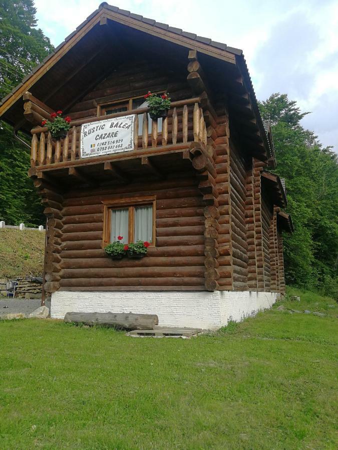 Cabana Rustic Balea Cîrţişoara Kültér fotó