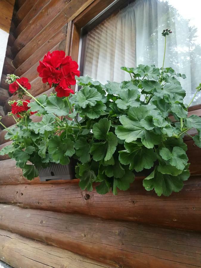Cabana Rustic Balea Cîrţişoara Kültér fotó