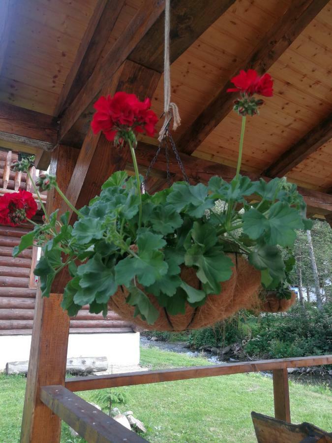 Cabana Rustic Balea Cîrţişoara Kültér fotó