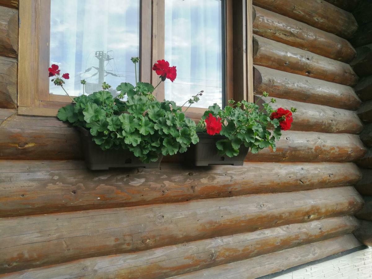 Cabana Rustic Balea Cîrţişoara Kültér fotó